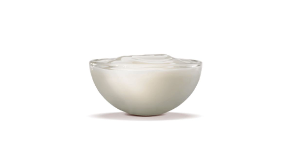 Burger King Sour Cream Sauce