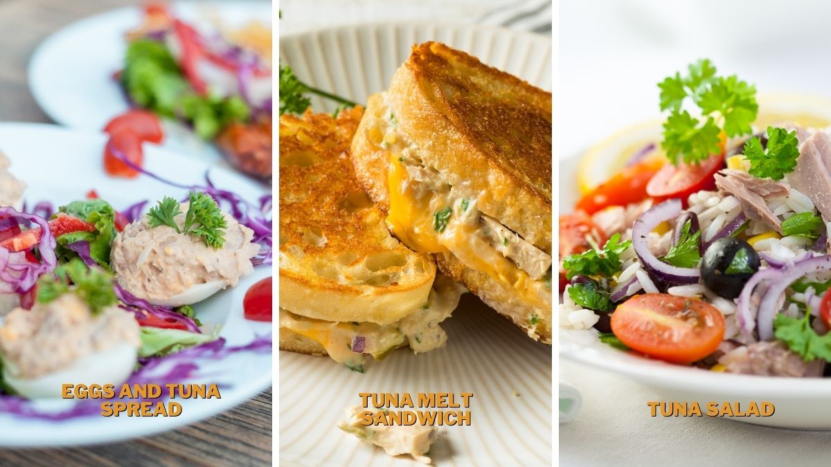 What to serve with canned tuna? How to serve  canned tuna?