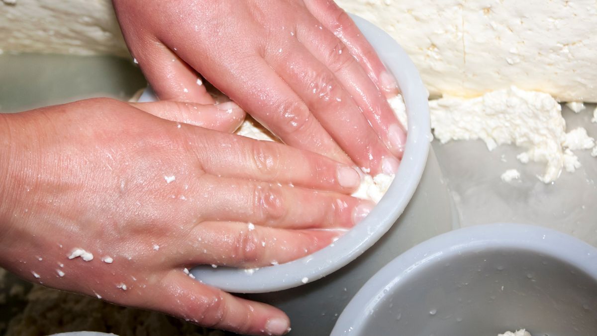 Cheesemaking Process Making Your Own Cheese at Home
