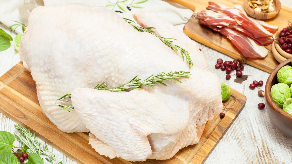 Crowd Cow Turkey