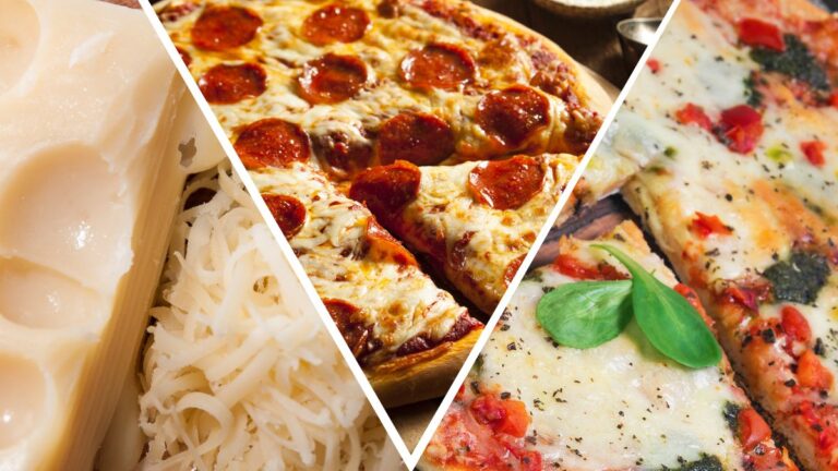 9 Fontina Cheese Substitutes for Pizza