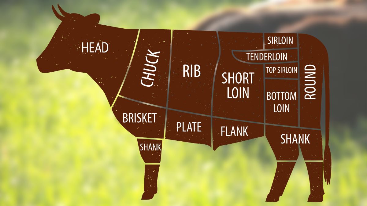 How Many Steaks In a Cow