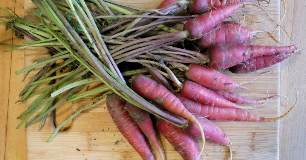 12 pink vegetables