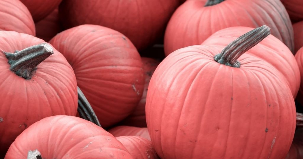 12 pink vegetables