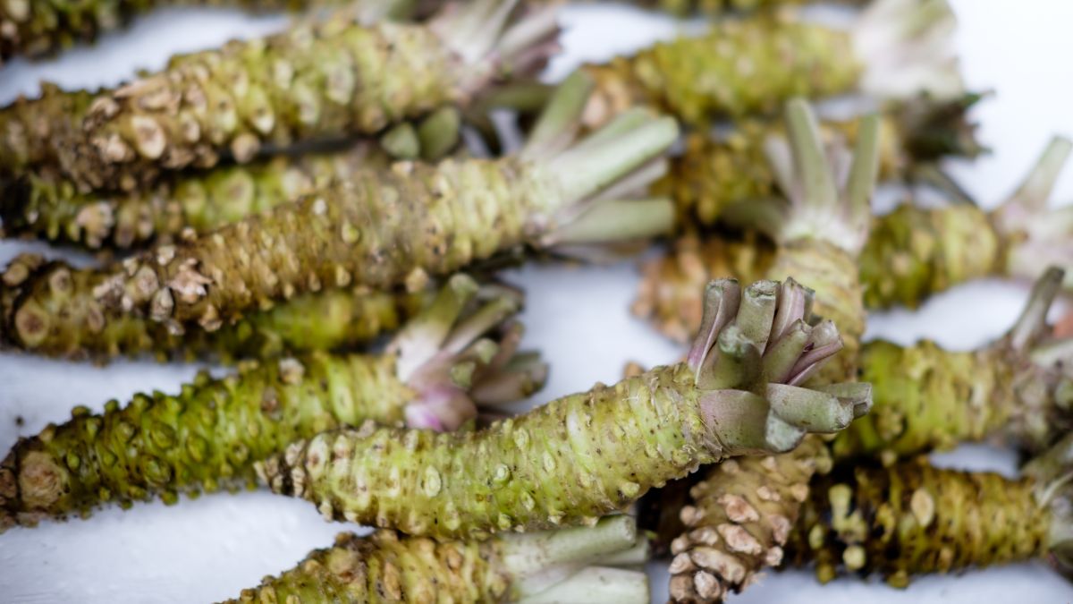 Is Wasabi Spicy