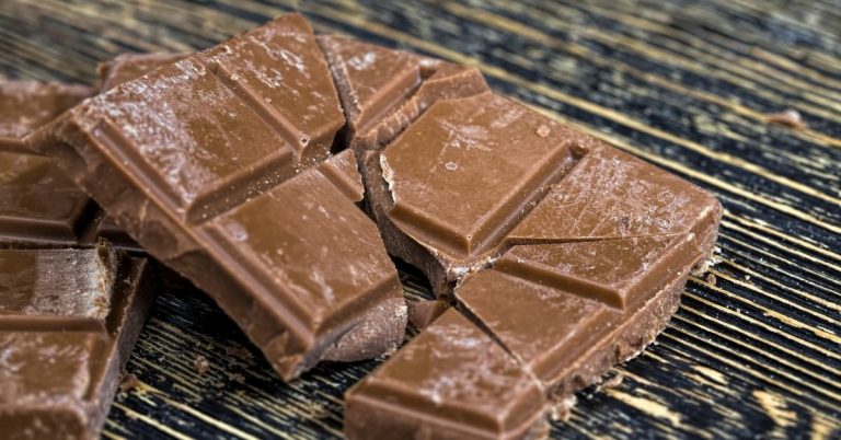 Maggots in Chocolate