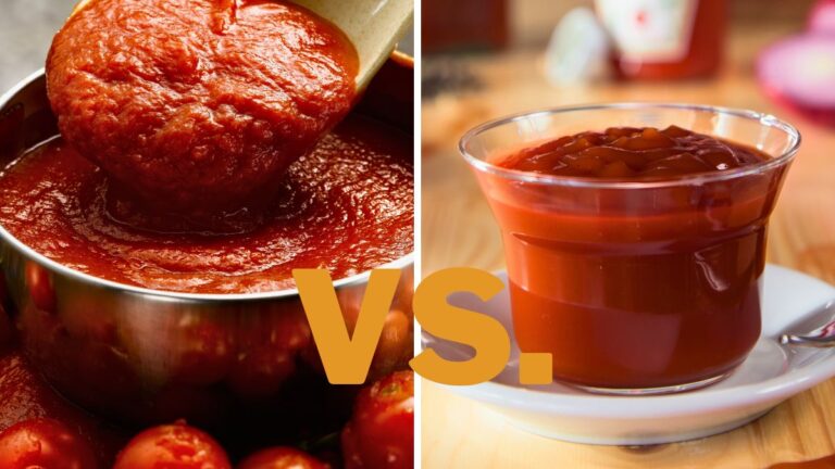 Tomato Sauce vs. Ketchup Differences Explained
