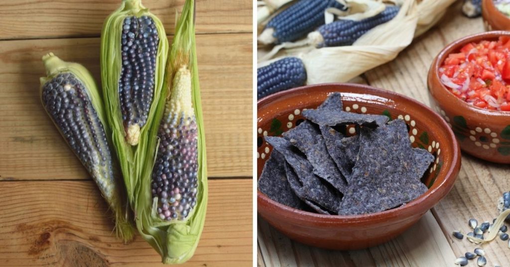 blue vegetables
