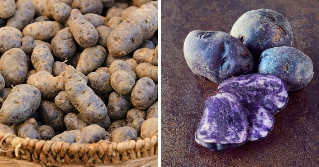 blue vegetables