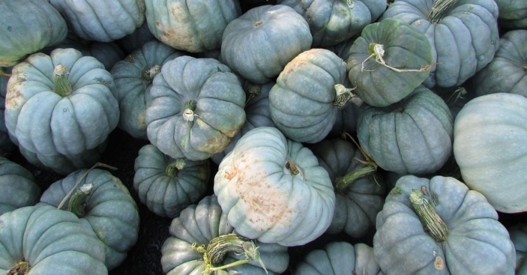 blue vegetables 