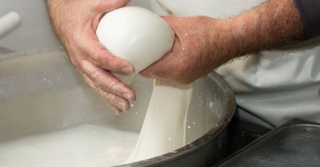 edam vs mozzarella