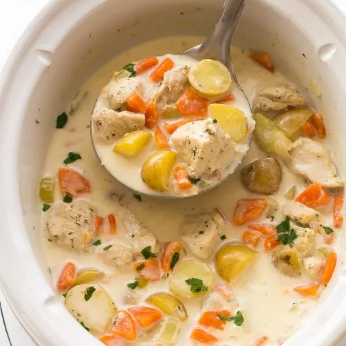 garlic parmesan chicken stew www
