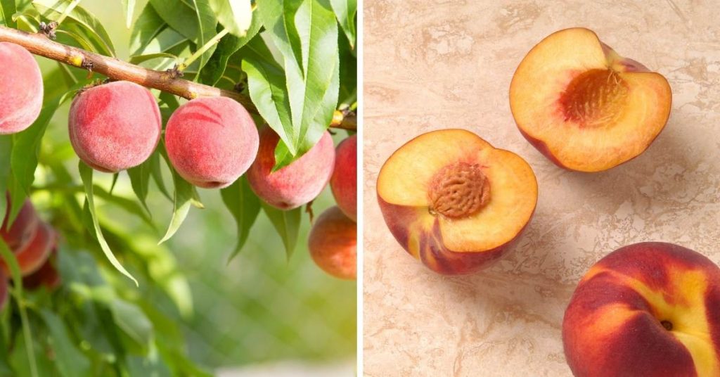 pink fruit