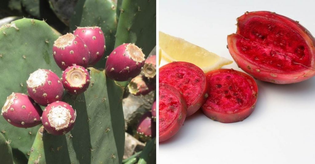 pink fruit