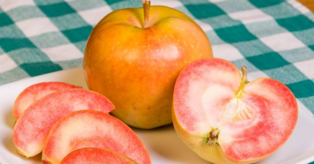 pink fruit