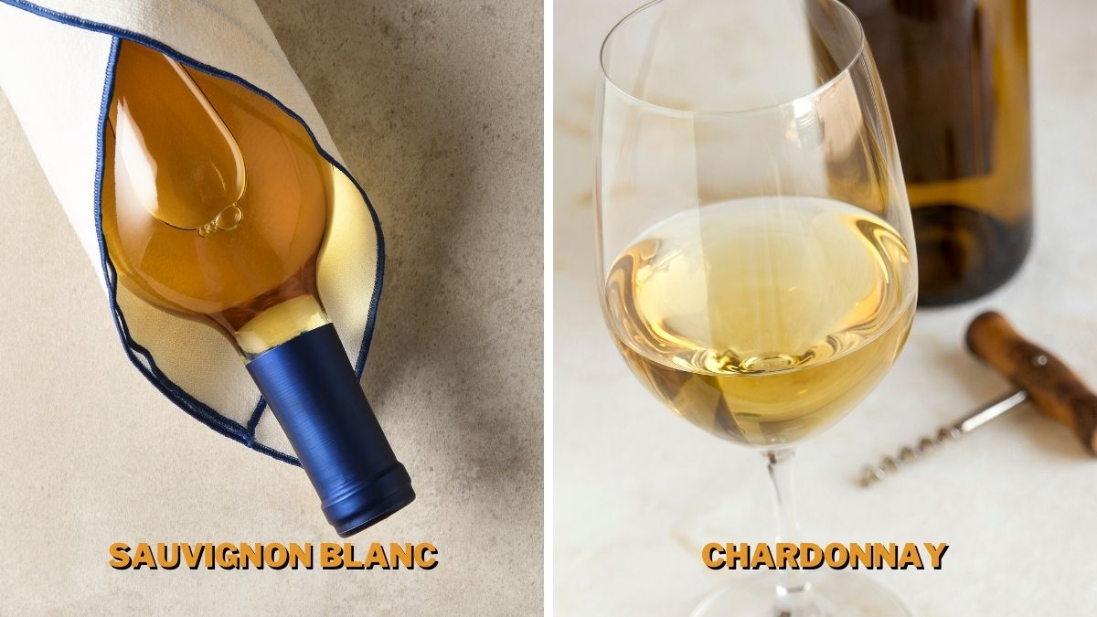 sauvignon blanc and chardonnay go well with seafood spaghetti